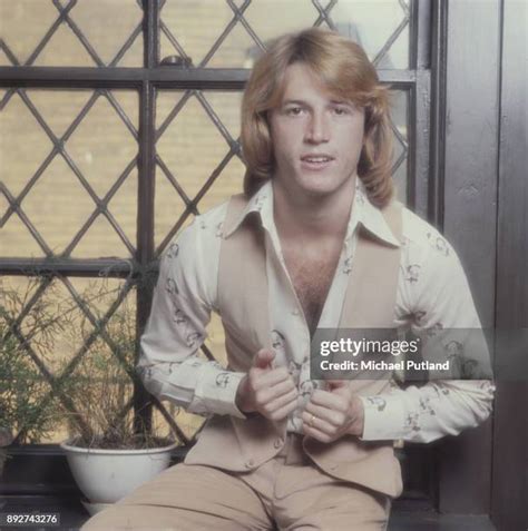 andy gibb photos|462 Andy Gibb Photos Stock Photos & High